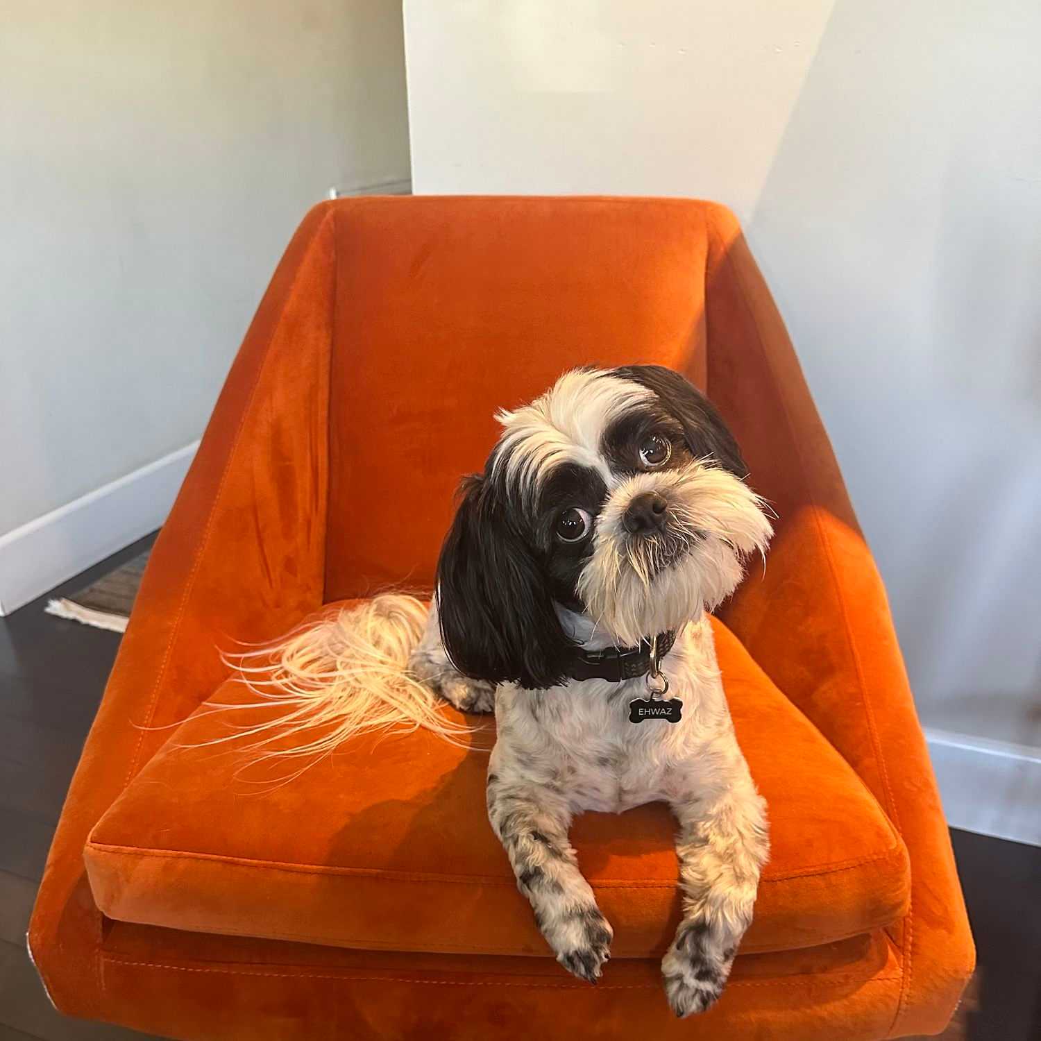 Portrait of Ehwaz (Waz), a professional stylist at Park & Eve: Hair Studio, showcasing their expertise and style.