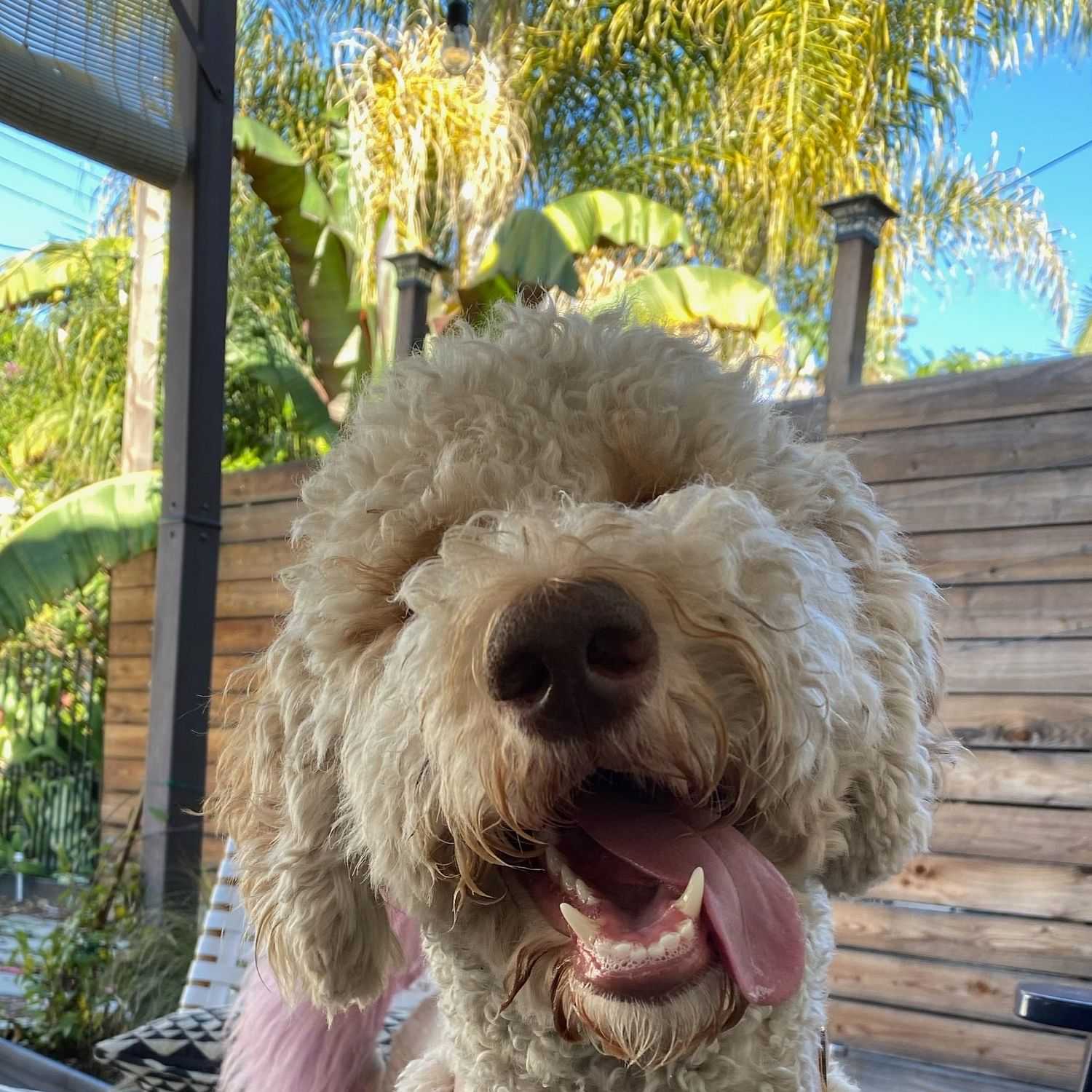 Portrait of Parker (Park), a professional stylist at Park & Eve: Hair Studio, showcasing their expertise and style.